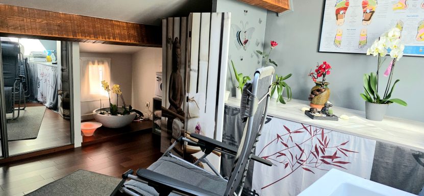 Au cabinet de Bouc Bel Air